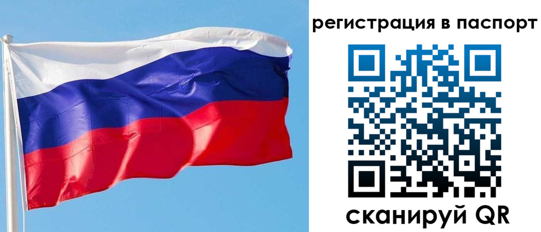 прописка законно в Ярославле
